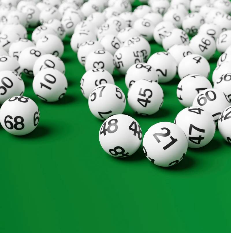 Lô bạch thủ là gì?